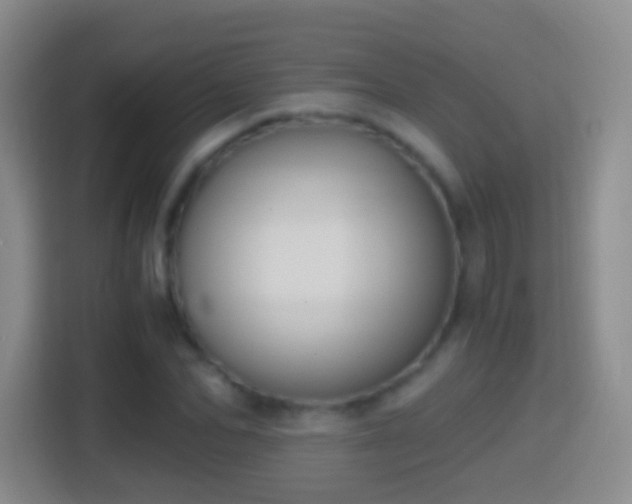 X0000114410974200910231129