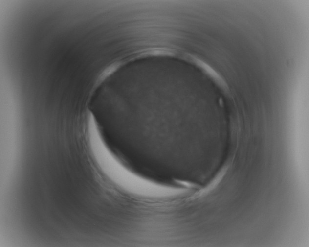 X0000114410977200910231129