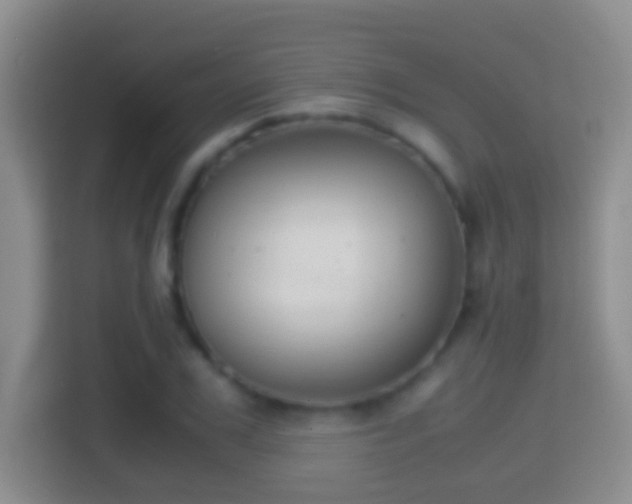 X0000114410979200910231129