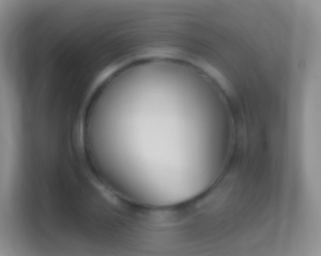 X0000114410982200910231129