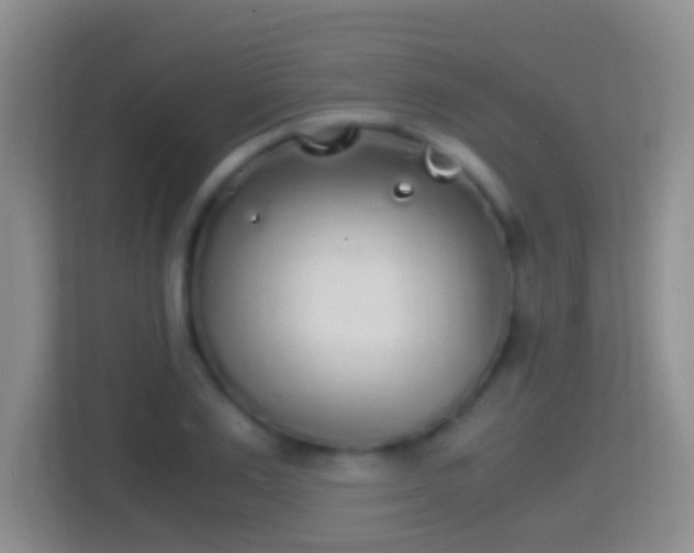 X0000114410983200910231129