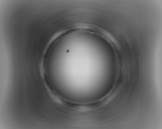 X0000114410984200910231129
