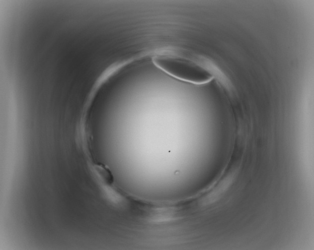 X0000114410989200910231129