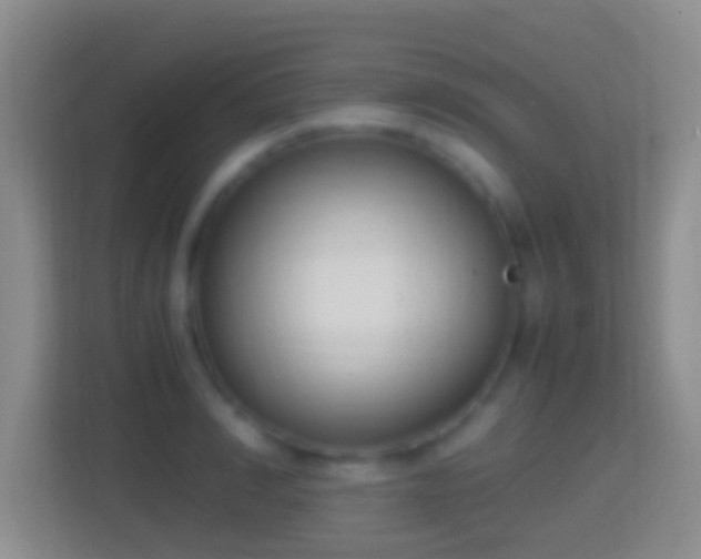X0000114410990200910231129