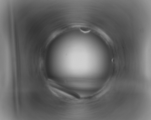 X0000114410993200910231128