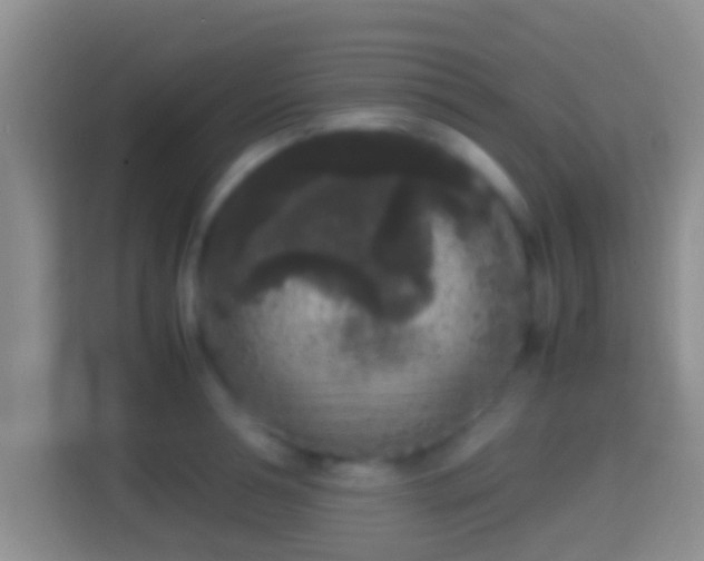 X0000114410994200910231128