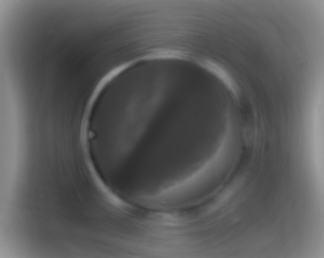 X0000114410995200910231128