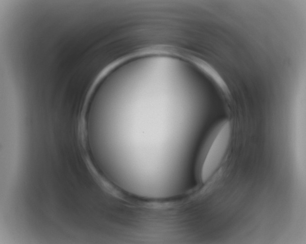 X0000114410996200910231128