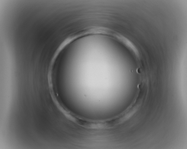 X0000114410997200910231128