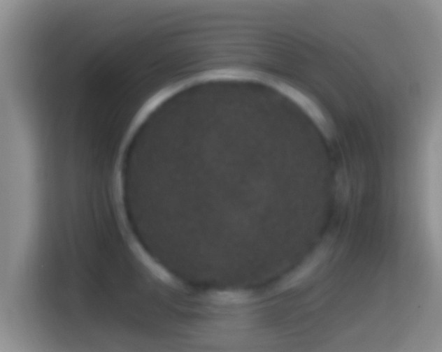 X0000114410998200910231128