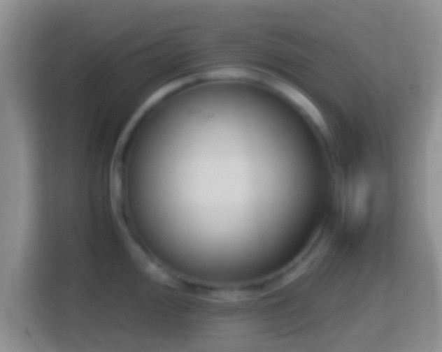 X0000114411000200910231128