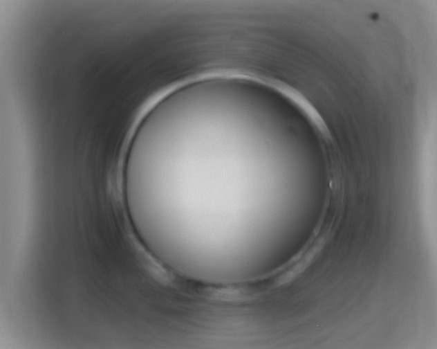 X0000114411004200910231128