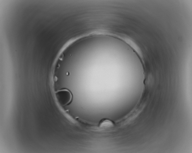 X0000114411005200910231128