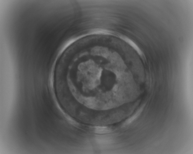 X0000114411007200910231128