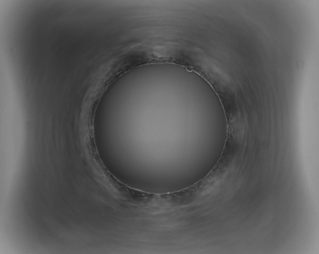 X0000114411009200910231128