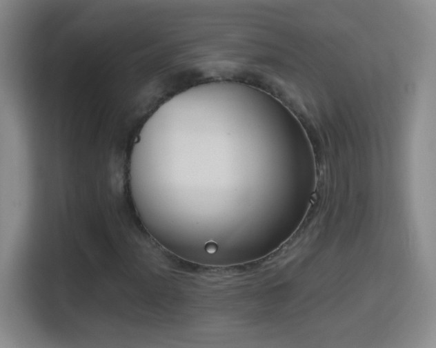 X0000114411012200910231128