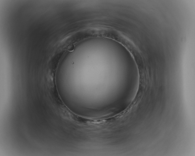 X0000114411013200910231128
