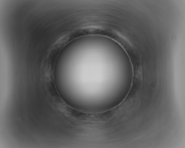 X0000114411014200910231128