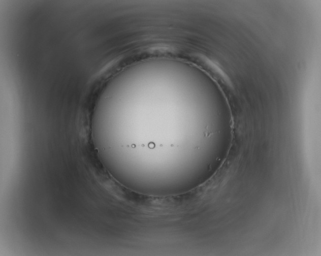 X0000114411015200910231128