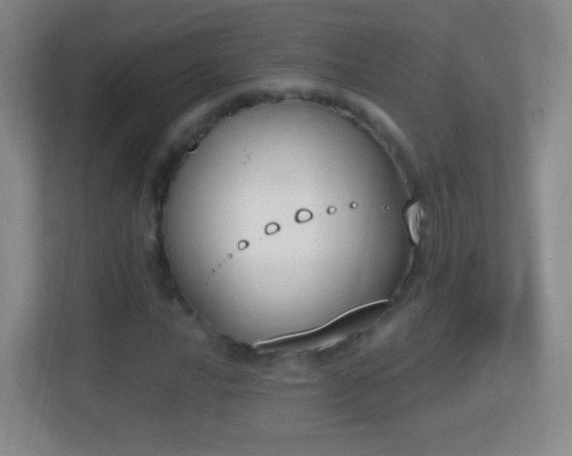 X0000114411016200910231128