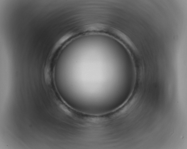 X0000114411018200910231128