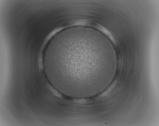 X0000114411019200910231128