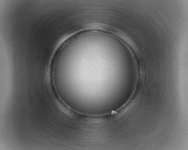 X0000114411020200910231128