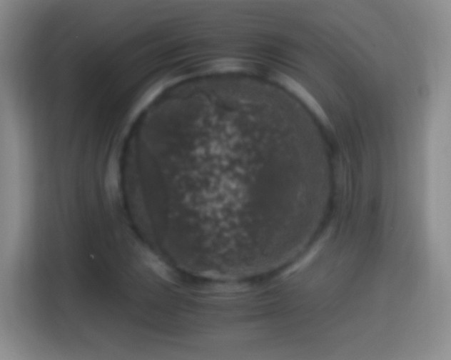 X0000114411023200910231128