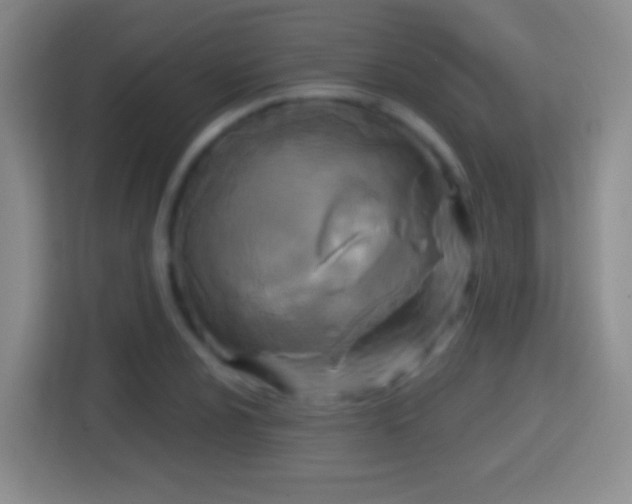 X0000114411024200910231128