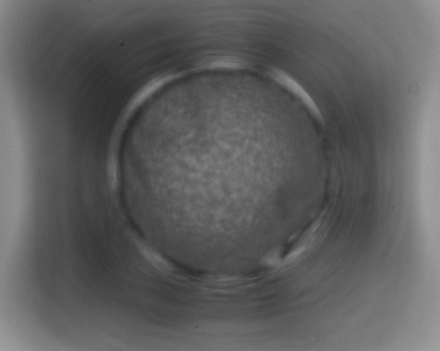 X0000114411027200910231128