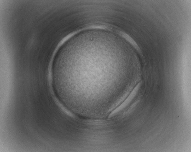 X0000114411028200910231128