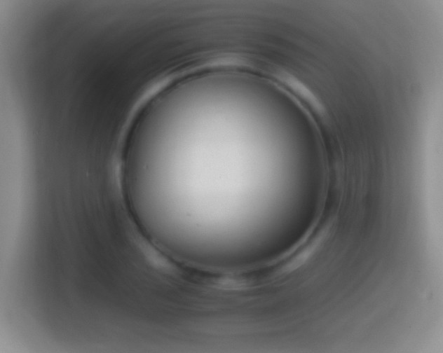 X0000114411029200910231128
