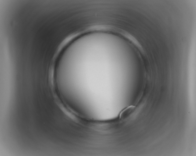 X0000114411030200910231128