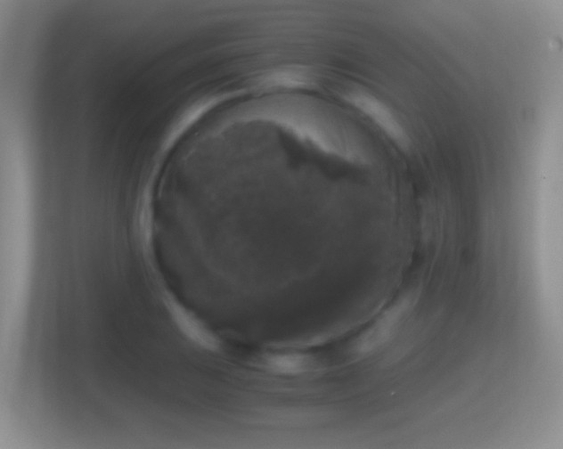 X0000114411031200910231128