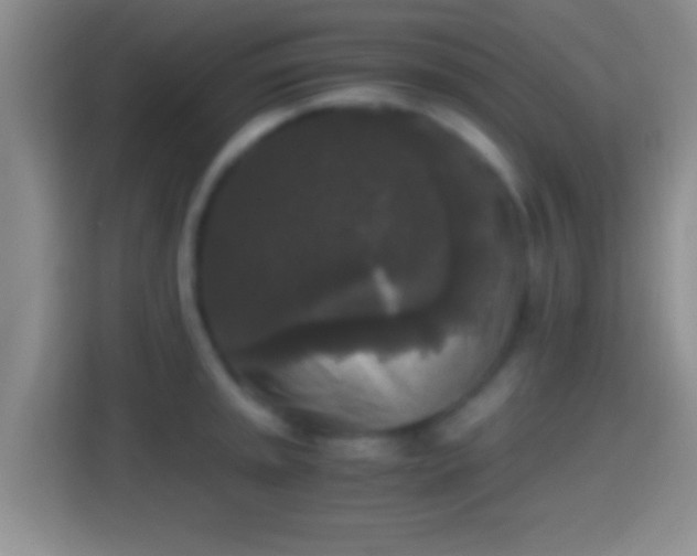 X0000114411045200910231128