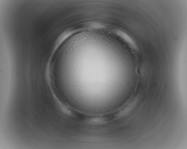 X0000114411047200910231128