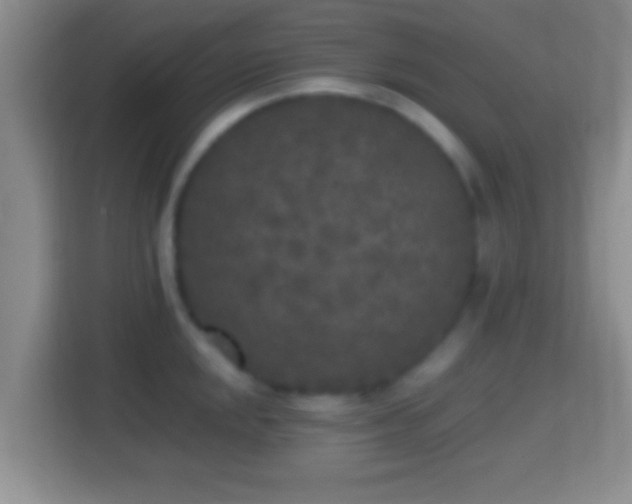 X0000114411048200910231128