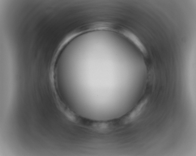 X0000114411051200910231128