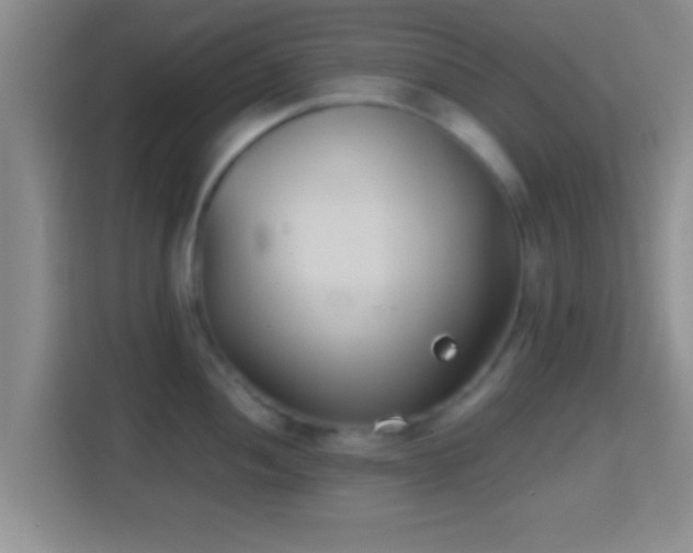 X0000114411052200910231128