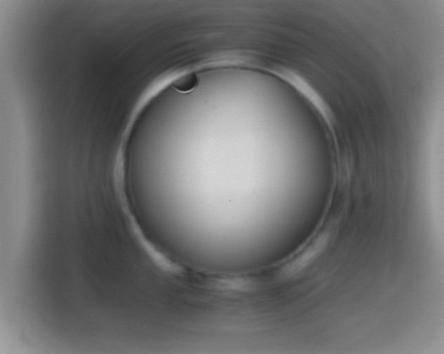 X0000114411053200910231128