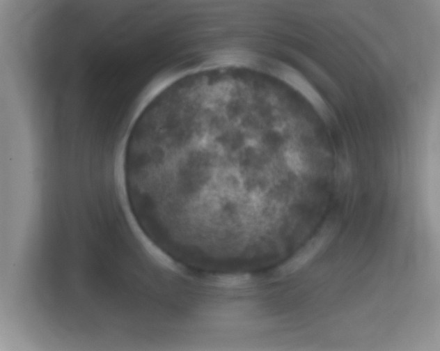X0000114411055200910231128