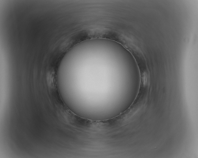X0000114411059200910231128