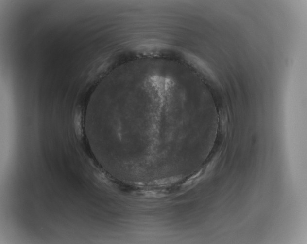 X0000114411060200910231128
