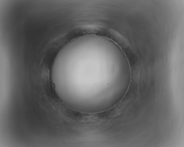X0000114411061200910231128