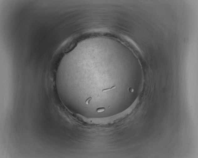 X0000114411064200910231128