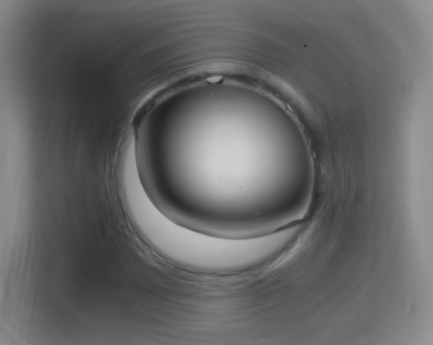 X0000114411065200910231128