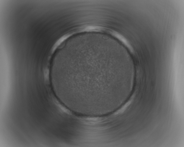 X0000114411066200910231128