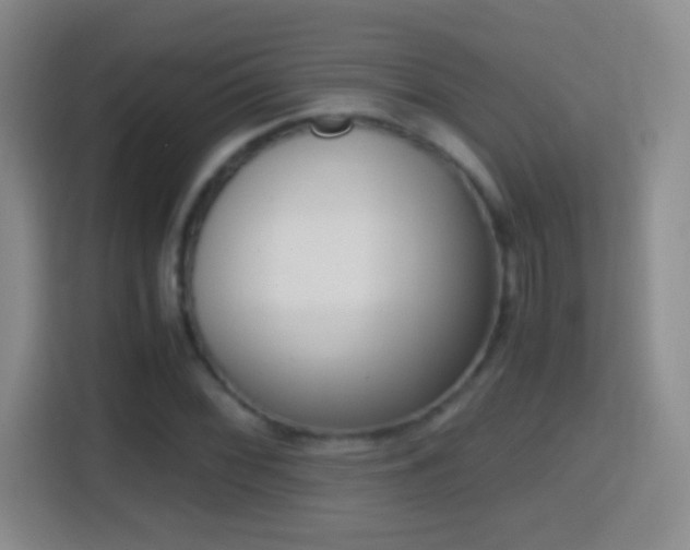 X0000114411068200910231128