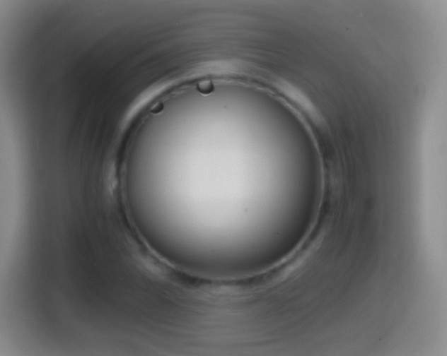 X0000114411070200910231127