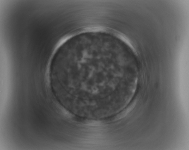 X0000114411071200910231127